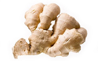 dried-ginger